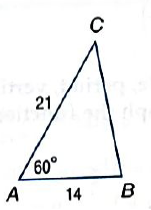 Algebra 2, Chapter EP, Problem 13.5.3EP 