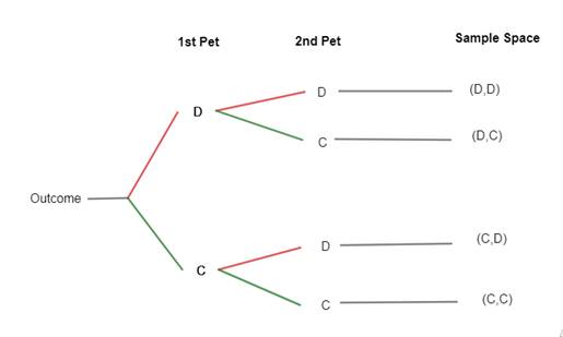 Geometry, Student Edition, Chapter 13, Problem 6PT 