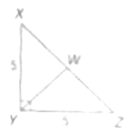 Glencoe Geometry, Chapter 7.3, Problem 38HP 