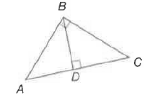 Geometry, Student Edition, Chapter 7.7, Problem 20PPS , additional homework tip  5