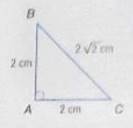 Geometry, Student Edition, Chapter 8.2, Problem 48PPS , additional homework tip  1