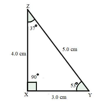 Glencoe Geometry Student Edition C2014, Chapter 8.5, Problem 22PPS , additional homework tip  3