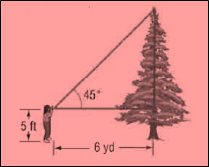 Glencoe Geometry, Chapter 8.5, Problem 38SPR , additional homework tip  1