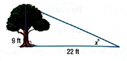 Pre-Algebra, Student Edition, Chapter CSB1.10, Problem 8E 