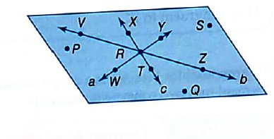 Pre-Algebra, Student Edition, Chapter CSB1.7, Problem 4E 