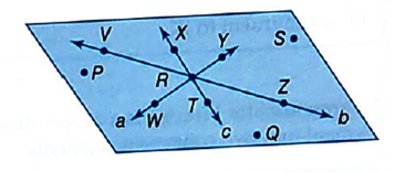 Pre-Algebra, Student Edition, Chapter CSB1.7, Problem 5E 