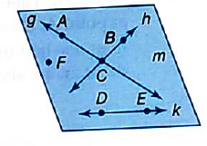 Pre-Algebra, Student Edition, Chapter CSB1.7, Problem 8E 