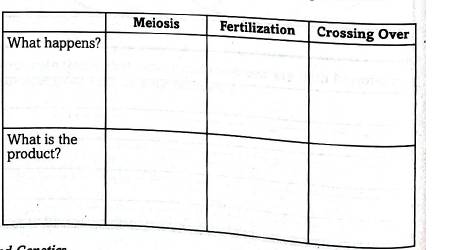 Chapter 10.1, Problem 1NV, Use the terms in the left margin to complete the paragraph below. A segment of DNA on a chromosome 