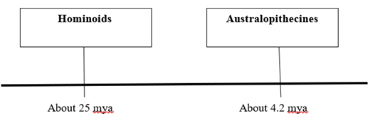 Biology Science Notebook, Chapter 16.2, Problem 1NV 