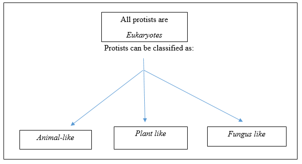 Biology Science Notebook, Chapter 19.1, Problem 4MI 