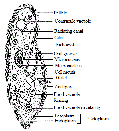 Biology Science Notebook, Chapter 19.2, Problem 5MI 