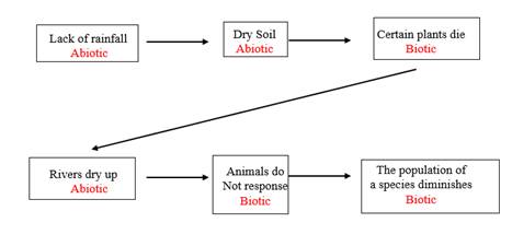 Biology Science Notebook, Chapter 2.1, Problem 3MI 