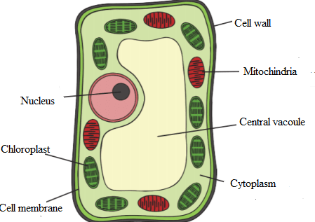 Biology Science Notebook, Chapter 22.1, Problem 5MI 