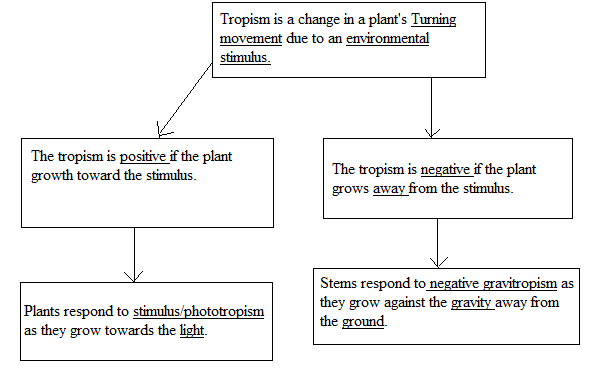 Biology Science Notebook, Chapter 22.3, Problem 2MI 