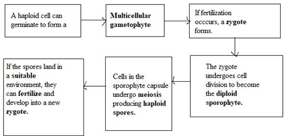 Biology Science Notebook, Chapter 23.1, Problem 6MI 