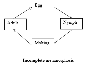 Biology Science Notebook, Chapter 26.3, Problem 6MI , additional homework tip  2