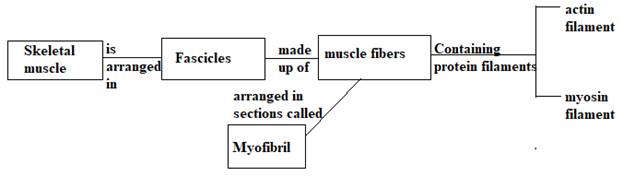 Biology Science Notebook, Chapter 32.3, Problem 7MI 