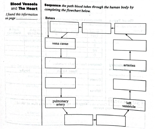 Biology Science Notebook, Chapter 34.1, Problem 5MI 