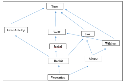 Biology Science Notebook, Chapter 5.2, Problem 2MI 