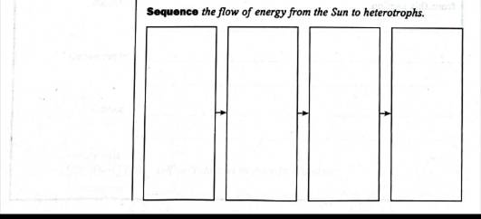 Chapter 8.1, Problem 6MI, Sequence the flow of energy from the Sun to heterotrophs. 