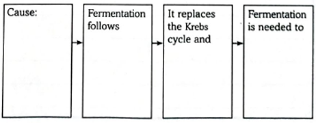 Chapter 8.3, Problem 6MI, Sequence events that lead to fermentation in aerobic organisms. 