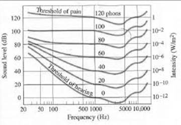 Physics: Principles with Applications, Chapter 12, Problem 21P 