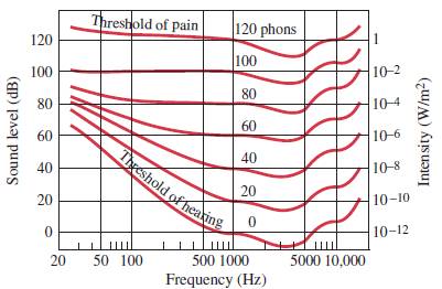 Physics: Principles with Applications, Chapter 12, Problem 38P 