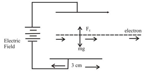 Physics: Principles with Applications, Chapter 17, Problem 58GP 