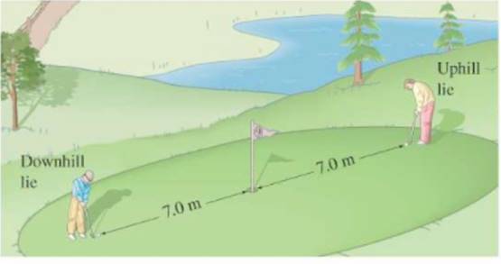 Physics: Principles with Applications, Chapter 2, Problem 67GP 