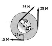 Physics: Principles with Applications, Chapter 8, Problem 24P , additional homework tip  1