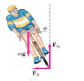 Physics: Principles with Applications, Chapter 8, Problem 80GP 