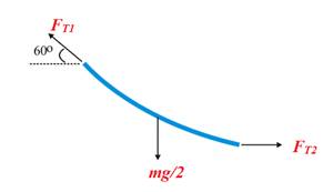 Physics: Principles with Applications, Chapter 9, Problem 67GP , additional homework tip  1