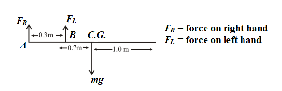 Physics: Principles with Applications, Chapter 9, Problem 71GP , additional homework tip  1