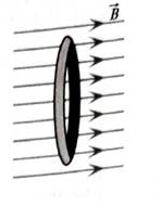 Chapter 8.1, Problem 1aT, A copper wire loop is placed in a uniform magnetic field as shown. Determine whether there would be 