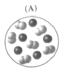 Chemistry 2012 Student Edition (hard Cover) Grade 11, Chapter 2, Problem 10STP , additional homework tip  1