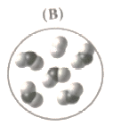 Chemistry 2012 Student Edition (hard Cover) Grade 11, Chapter 2, Problem 10STP , additional homework tip  2