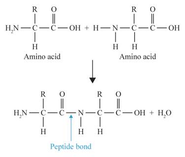 Chemistry 2012 Student Edition (hard Cover) Grade 11, Chapter 24, Problem 107A , additional homework tip  1