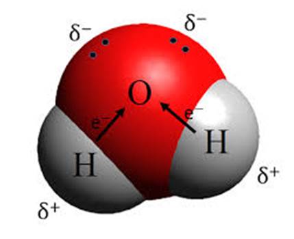 Chemistry 2012 Student Edition (hard Cover) Grade 11, Chapter 25, Problem 104A , additional homework tip  2