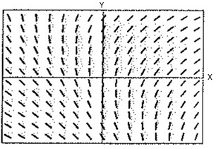 Calculus: Graphical, Numerical, Algebraic, Chapter 7, Problem 39RE , additional homework tip  1