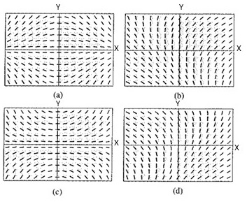 Calculus: Graphical, Numerical, Algebraic: Solutions Manual, Chapter 7, Problem 39RE , additional homework tip  2