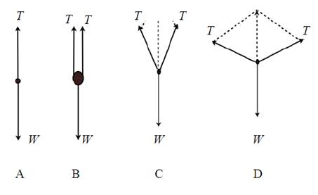 Conceptual Physics: The High School Physics Program, Chapter 2, Problem 24A , additional homework tip  2