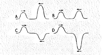 Conceptual Physics: The High School Physics Program, Chapter 25, Problem 22A 