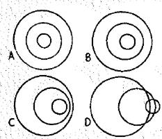 Conceptual Physics: The High School Physics Program, Chapter 25, Problem 24A 