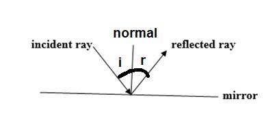 Conceptual Physics: The High School Physics Program, Chapter 29, Problem 5A 