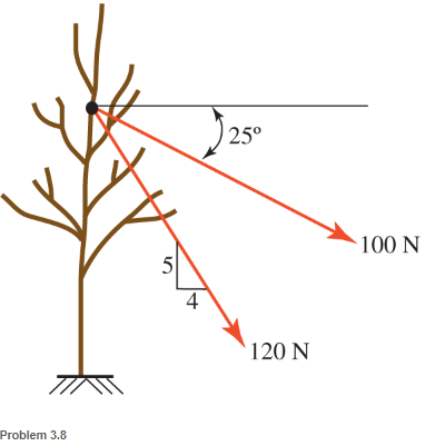 Chapter 3, Problem 3.8P, Find the resultant force P exerted on the tree. 