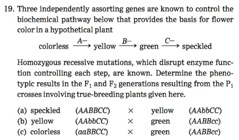 Chapter 13, Problem 19PDQ, 
19. Three independently assorting genes are known to control the biochemical pathway below that 