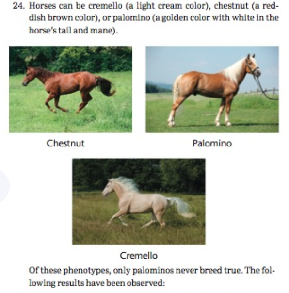 Chapter 4, Problem 24PDQ, 

24. Horses can be cremello (a light cream color), chestnut (a reddish brown color), or palomino (a 