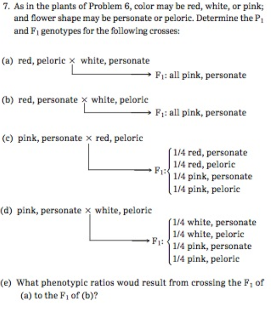 Chapter 4, Problem 7PDQ, As in the plants of Problem 6, color may be red, white, or pink; and flower shape may be personate , example  1