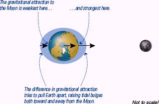 EBK COSMIC PERSPECTIVE, THE, Chapter 4, Problem 1VSC 