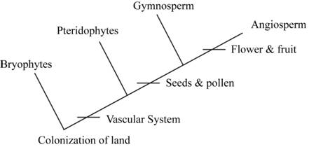 Campbell Biology, Chapter 29, Problem 29.1CR 